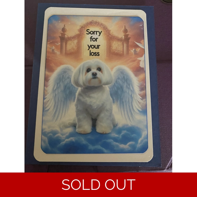product Image for White dog
